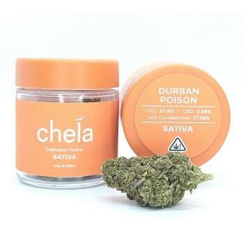 Chela - Light - Durban Poison