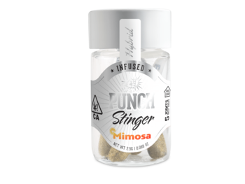 Punch - Stingers - Mimosa