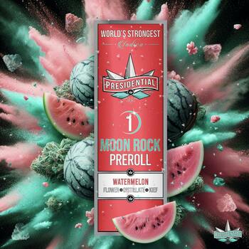 Presidential Moon Rock Preroll - Watermelon (1g)