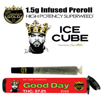 Caviar Gold l Ice Cube Cone l Good Day Kush l 1.5g Infused Preroll