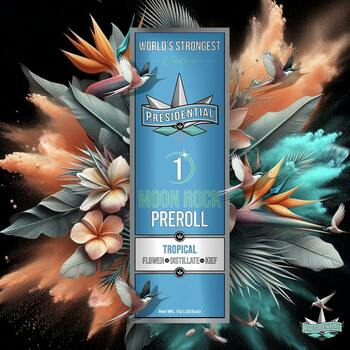 Presidential Moon Rock Preroll - Tropical (1g)