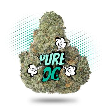 Pure Kush - Topshelf Indoor - New Drop - Indica