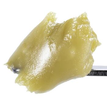 Gelato Mintz - 1G Live Rosin Cold Cure Badder - Tier 3