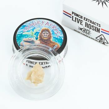 Lemon Berry OGZ Tier 1 Live Rosin Cold Cure Badder (1g)