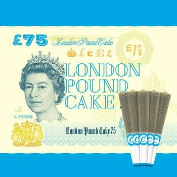 Cookies - 5 Pack Infused Pre Roll - London Pound Cake 75
