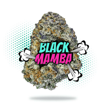 Black Mamba (3.5g - 1/8oz) - Topshelf Indoor - Hybrid