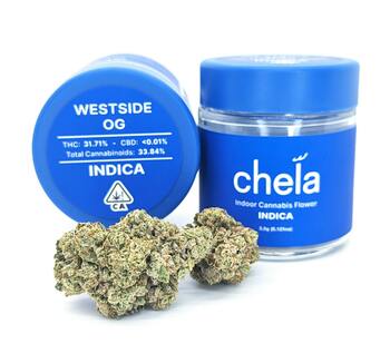 Chela - Indoor - Westside OG