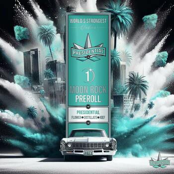 Presidential Moon Rock Preroll - Classic (1g)