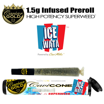Caviar Gold l Cavi Cone l Ice Wata l 1.5g Infused Pre-Roll