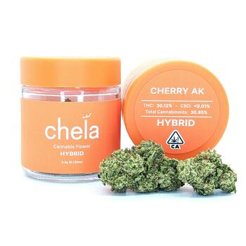 Chela - Light - Cherry AK