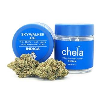 Chela - Indoor - Skywalker OG