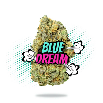 Blue Dream - Topshelf Indoor - Sativa