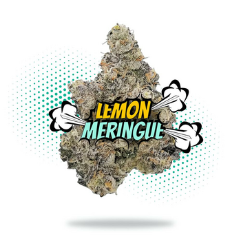 Lemon Meringue (3.5g - 1/8oz) - Topshelf Indoor - Hybrid