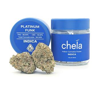 Chela - Indoor - Platinum Funk