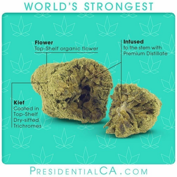 Presidential Moon Rocks - Presidential (2g)