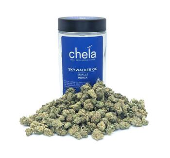 Skywalker Indoor Smalls