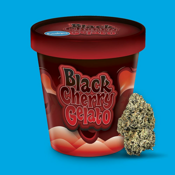 Cookies - 3.5G Flower Tub - Black Cherry Gelato