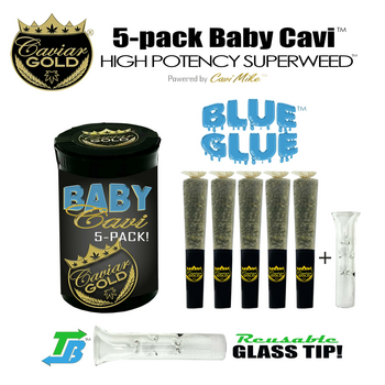 Caviar Gold l Baby Cavi l Blue Glue l 2.5g 5pk