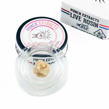 Gelato #41 Tier 3 Live Rosin Cold Cure Badder (1g)