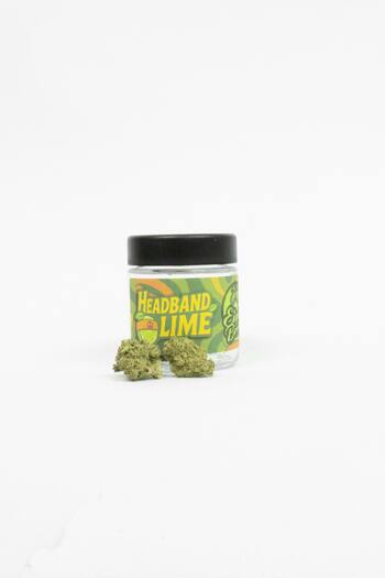 Headband Lime JAR - (3.54g - 1/8 oz)