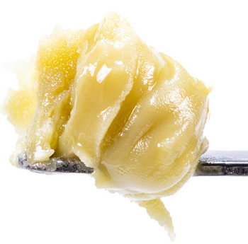 Governmint Oasis - Live rosin Cold Cure Badder - T3
