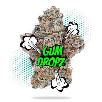 GumDropz - Topshelf Indoor - New Drop - Hybrid