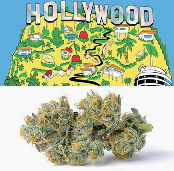 Cookies Flower Indoor Smalls 7.0g Pouch Hybrid Hollywood