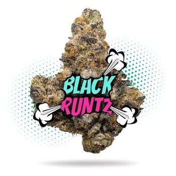 Black Runtz - Topshelf Indoor - New Drop - Hybrid