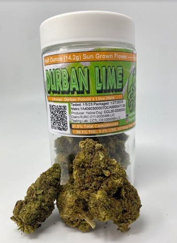Durban Lime Jar (14g - ½ oz)