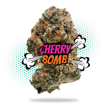 Cherry Bomb (3.5g - 1/8oz) - Topshelf Indoor - Hybrid