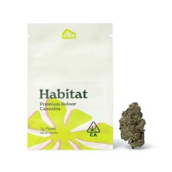 Hotcakes - 1g Indoor Flower