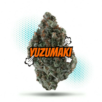 Yuzumaki (3.5g - 1/8oz) - TopShelf Indoor - Hybrid - New Drop