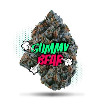 Gummy Bear (3.5g - 1/8oz)- Topshelf Indoor - Hybrid