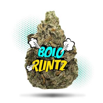 Bolo Runtz - Topshelf Indoor - New Drop - Hybrid