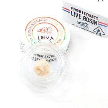 Lime Oasis Tier 1 Live Rosin Cold Cure Badder (1g)