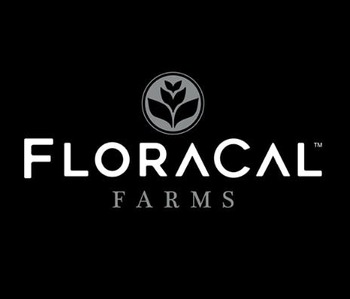 White Lobster - 3.5g