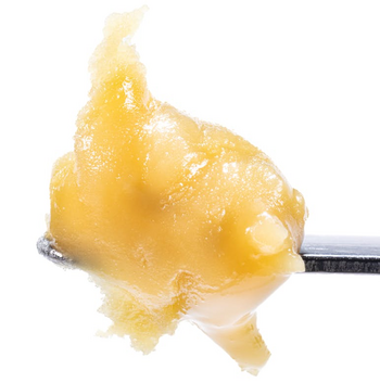 Papaya - Live Rosin Cold Cure Badder - T4