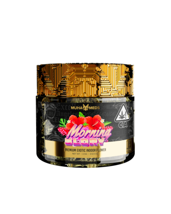 Morning Glory Indoor Flower