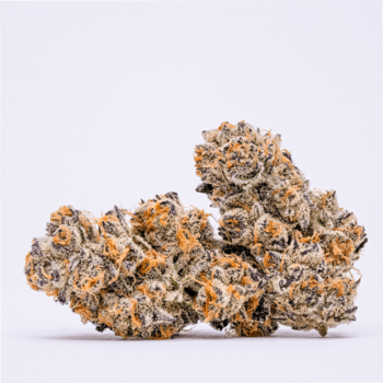 Poison Runtz Top Shelf Indoor - Hybrid