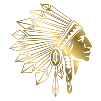 Big Chief 1g Cartridge - Amnesia Haze (S)