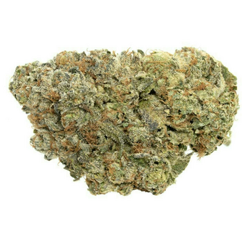 GG4 - Premium Shelf - Hybrid