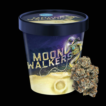 Cookies - 3.5g Flower Tub - Moonwalkers