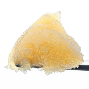 Glazed Apricot Live Resin Badder