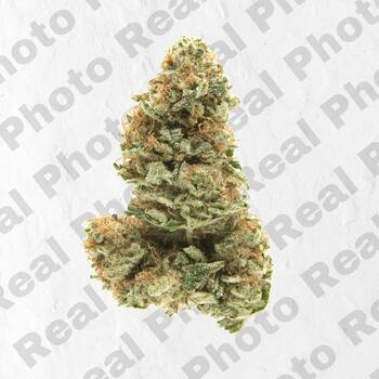 Bubble Gum (3.5g - 1/8oz) - Topshelf Indoor - Hybrid