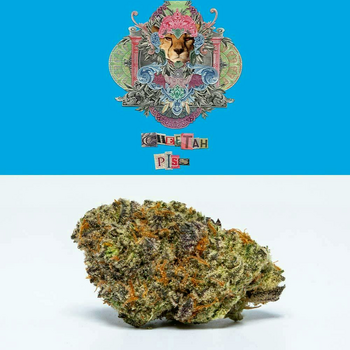 Cookies - Cheetah Piss